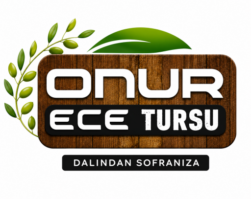 Onur Ece