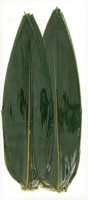 Guri Bambu yaprağı (100 Yaprak)