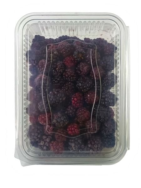 Doysam Donuk Böğürtlen Kase 1 Kg