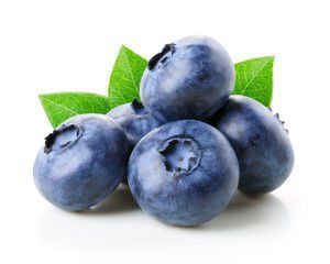 Doysam Donuk Yaban Mersini Kase 1 Kg