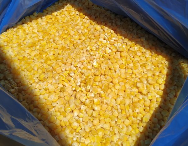 Frimer Donuk Dökme Tane Mısır 10 Kg