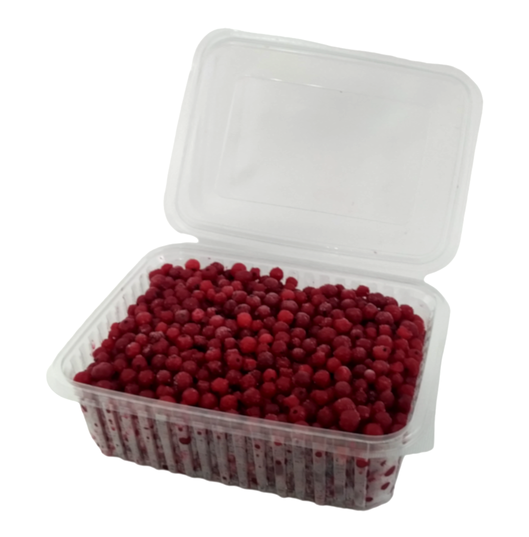 Donuk Kırmızı Frenk Üzümü Kase 1 Kg