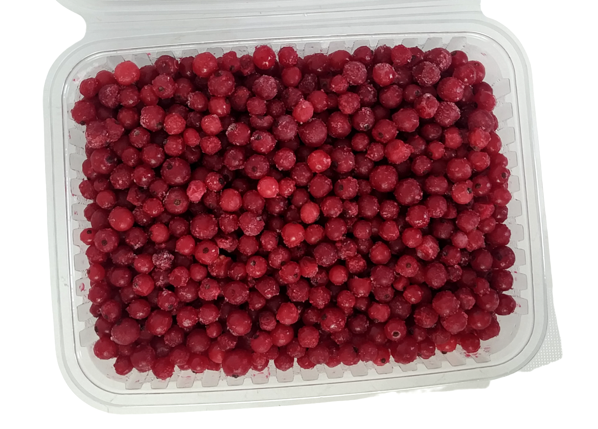Donuk Kırmızı Frenk Üzümü Kase 1 Kg