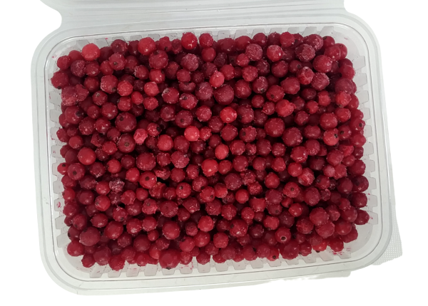 Donuk Kırmızı Frenk Üzümü Kase 1 Kg