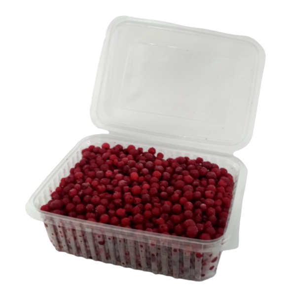 Donuk Kırmızı Frenk Üzümü Kase 1 Kg x 10 Adet