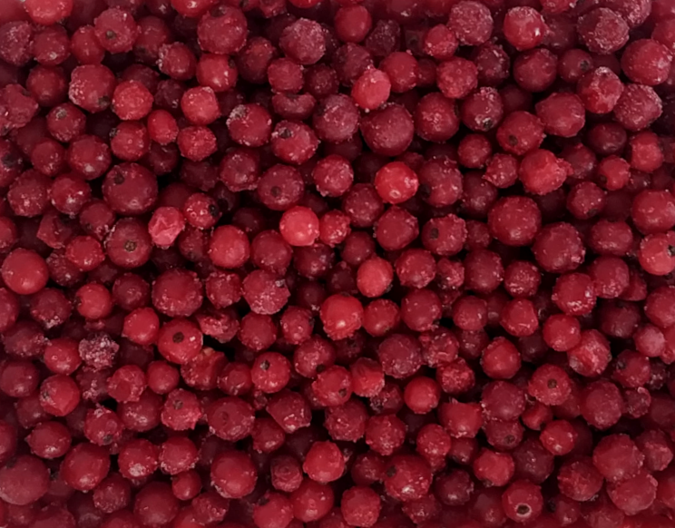 Donuk Kırmızı Frenk Üzümü Dökme 10 Kg