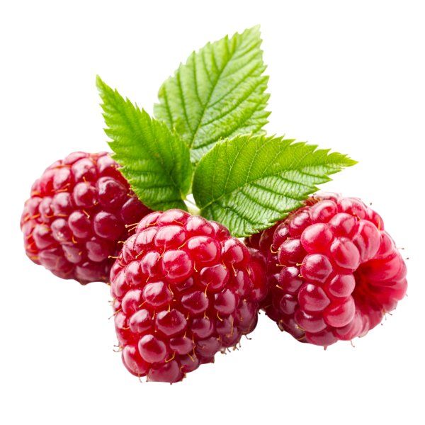 Donuk Frambuaz 2,5 Kg x 4 Adet