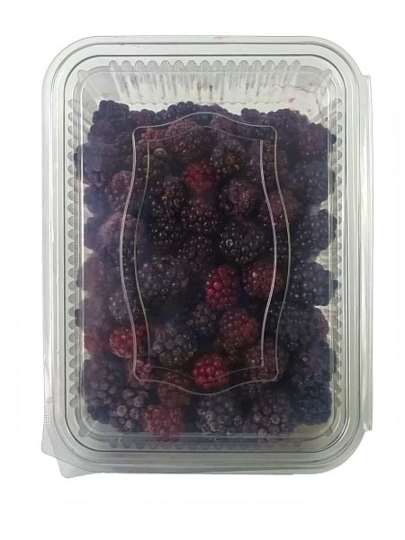Doysam Donuk Böğürtlen Kase 1 Kg x 10 Adet